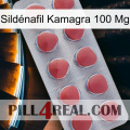 Sildénafil Kamagra 100 Mg 18